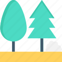 cypress, evergreen trees, fir, trees, two trees