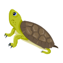 turtle icons, flatback turtle, tortoise, terrapin, sea turtle