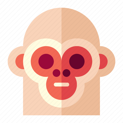 Animal, circus, face, monkey icon - Download on Iconfinder