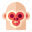 animal, circus, face, monkey 