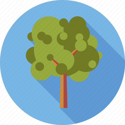 Environment, nature, plant, tree icon - Download on Iconfinder