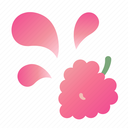 Fruit, splash, raspberry, taste icon - Download on Iconfinder