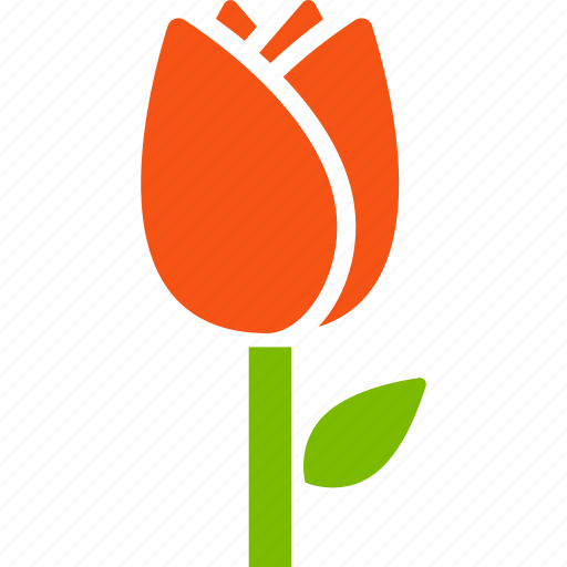 Flower, tulip, floriculture, nature, plant, botany, greenery icon - Download on Iconfinder