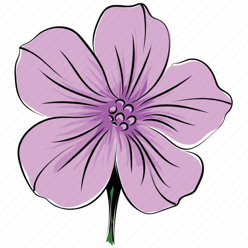 Beauty, flower, nature, orchid, violet icon - Download on Iconfinder