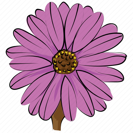 Aster, aster flower, blossom, calendula, flower, freshness, nature icon - Download on Iconfinder
