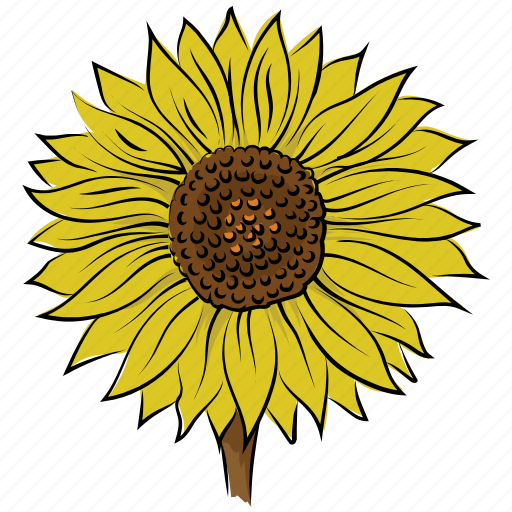 Beauty, daisy sunflower, flower, image, nature, sunflower icon - Download on Iconfinder