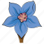 bellflower, blossom, bluebell, bluebell flower, flower, freshness, summer 