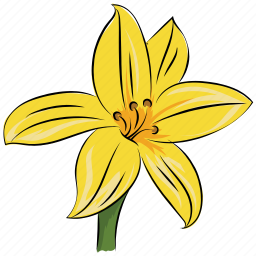 Daffodil, floral, flower, natural, petal, seasonal, spring icon - Download on Iconfinder