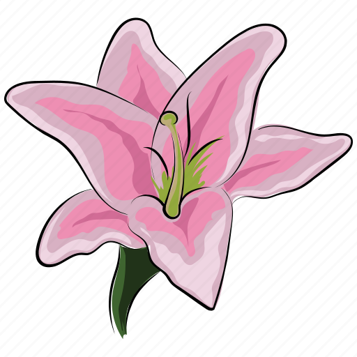 Amaryllis, amaryllis flower, clematis, flower, holiday, pink, pink amaryllis icon - Download on Iconfinder