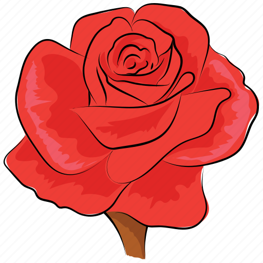 Blossom, floral, flower, red, red rose, rose, rose flower icon - Download on Iconfinder