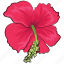 flower, hibiscus, hibiscus flower, rhododendron, rhododendron flower, rose mallow 