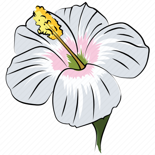 Beauty, decoration, flower, hibiscus lobatus, rhododendron, rhododendron flower icon - Download on Iconfinder