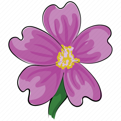 Anemone, bloom, flower, natural, petal, seasonal, spring icon - Download on Iconfinder