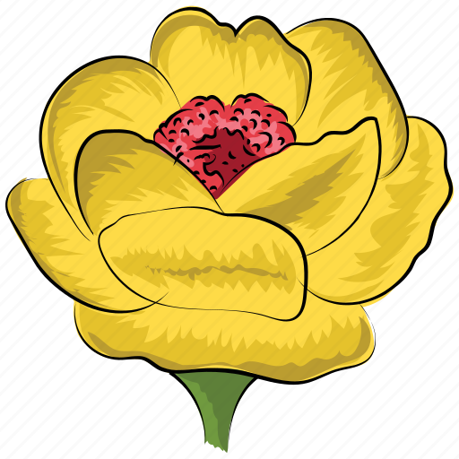 Decoration, flower, greeting, rose, rose flower, yellow, yellow rose icon - Download on Iconfinder