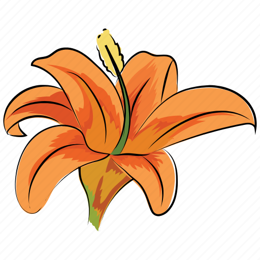 Alstroemeria lavender, flower, lily, peruvian lily, season, spring, trumpet-shaped icon - Download on Iconfinder