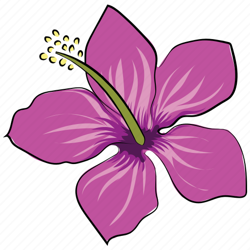 Flower, hibiscus, hibiscus flower, rhododendron, rhododendron flower, rose mallow icon - Download on Iconfinder