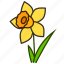 daffodil, ecology, environment, flower, garden, plant 