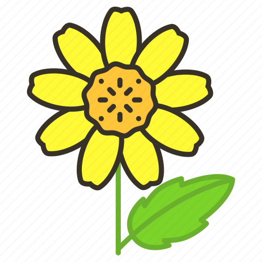 Ecology, environment, flower, garden, plant, wedelia, floral icon - Download on Iconfinder