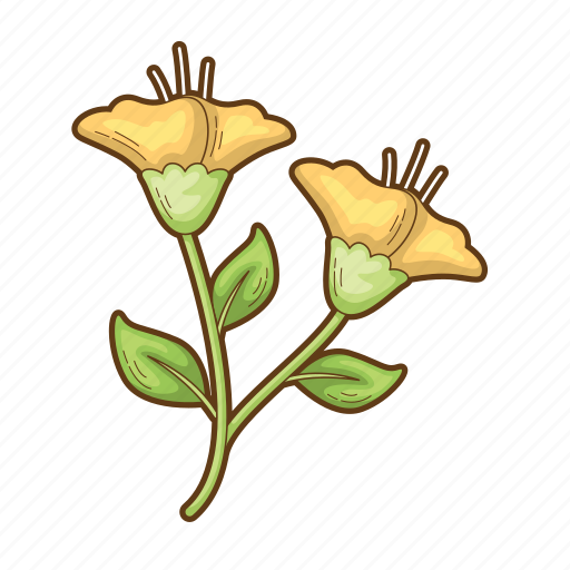 Flower, garden, decoration, nature, floral, plant, flowers icon - Download on Iconfinder