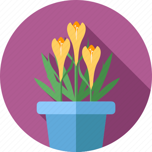 Flower, flowers, garden, lily, plant icon - Download on Iconfinder
