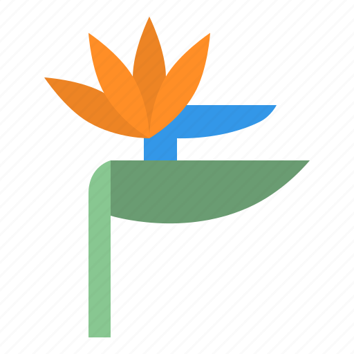 Bird, of, paradise, flower, blossom, floral, nature icon - Download on Iconfinder