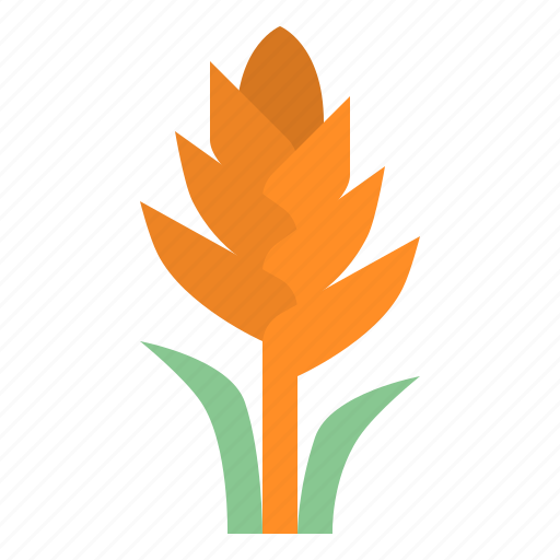 Bromeliad, flower, blossom, floral, nature icon - Download on Iconfinder