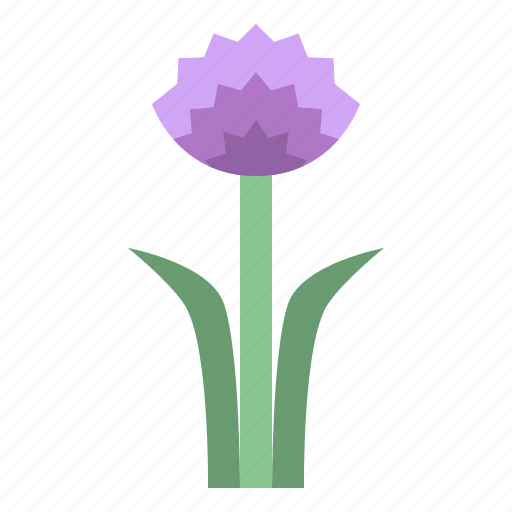 Chive, blossoms, flower, blossom, floral, nature icon - Download on Iconfinder