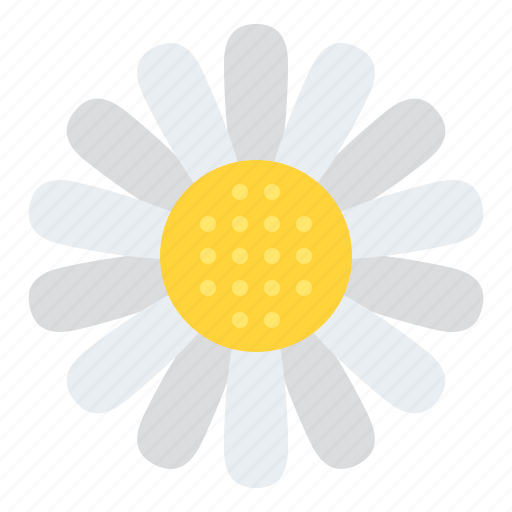 Daisy, flower, blossom, floral, nature icon - Download on Iconfinder