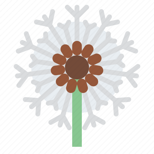 Dandelion, flower, blossom, floral, nature icon - Download on Iconfinder