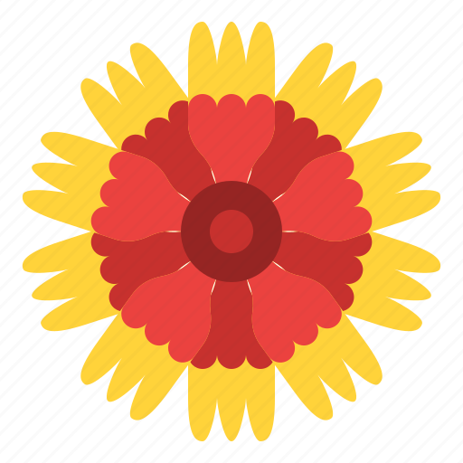 Gaillardia, flower, blossom, floral, nature icon - Download on Iconfinder