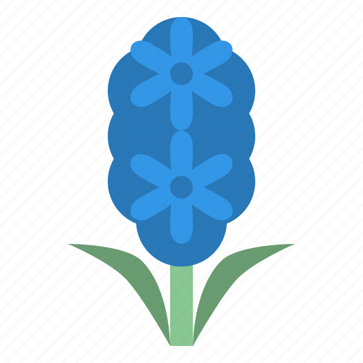Hyacinth, flower, blossom, floral, nature icon - Download on Iconfinder