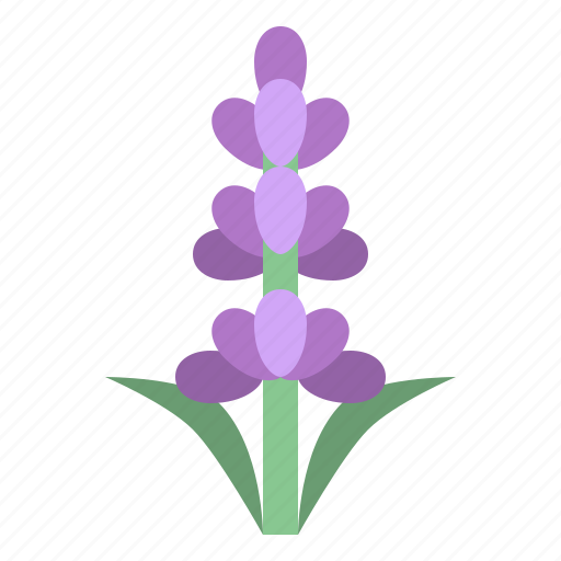 Lavender, flower, blossom, floral, nature icon - Download on Iconfinder