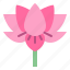 lotus, flower, blossom, floral, nature 