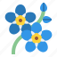 myosotis, flower, blossom, floral, nature 