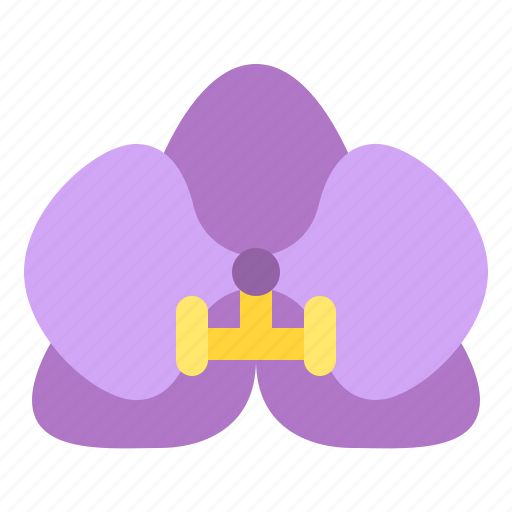 Orchid, flower, blossom, floral, nature icon - Download on Iconfinder