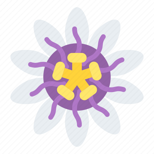 Passiflora, flower, blossom, floral, nature icon - Download on Iconfinder