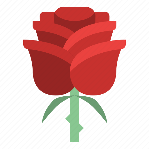 Rose, flower, blossom, floral, nature icon - Download on Iconfinder