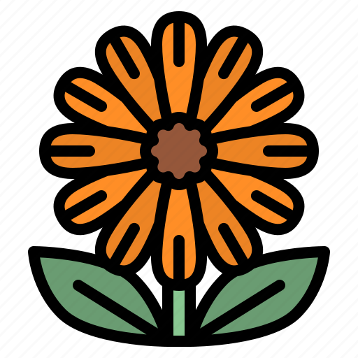 Calendula, flower, blossom, floral, nature icon - Download on Iconfinder