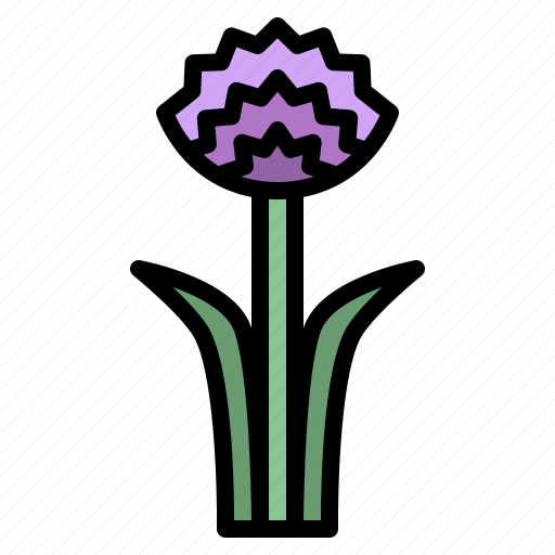 Chive, blossoms, flower, blossom, floral, nature icon - Download on Iconfinder