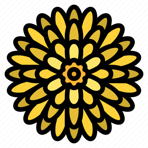 Chrysanthemum, flower, blossom, floral, nature icon - Download on Iconfinder