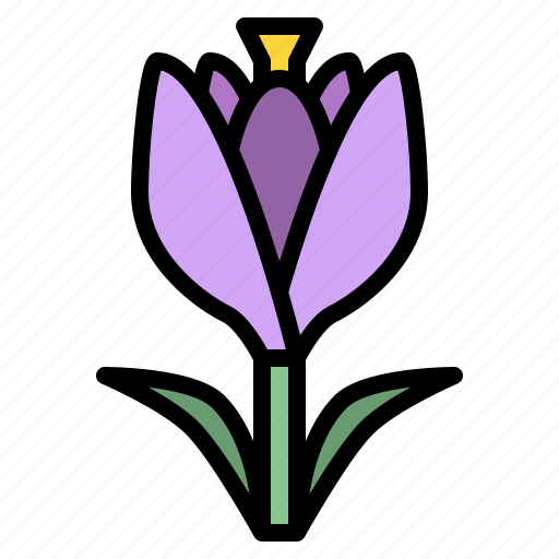 Crocus, flower, blossom, floral, nature icon - Download on Iconfinder