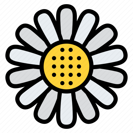 Daisy, flower, blossom, floral, nature icon - Download on Iconfinder