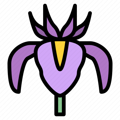 Iris, flower, blossom, floral, nature icon - Download on Iconfinder