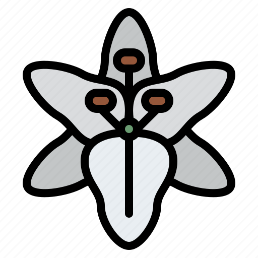 Lily, flower, blossom, floral, nature icon - Download on Iconfinder