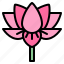 lotus, flower, blossom, floral, nature 
