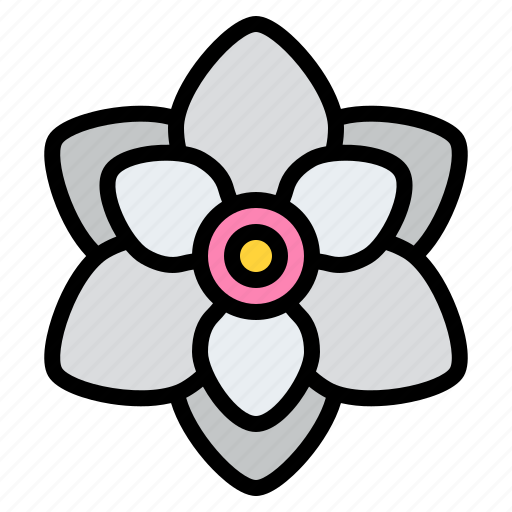 Magnolia, flower, blossom, floral, nature icon - Download on Iconfinder
