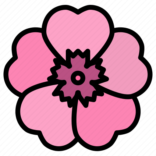Phlox, flower, blossom, floral, nature icon - Download on Iconfinder