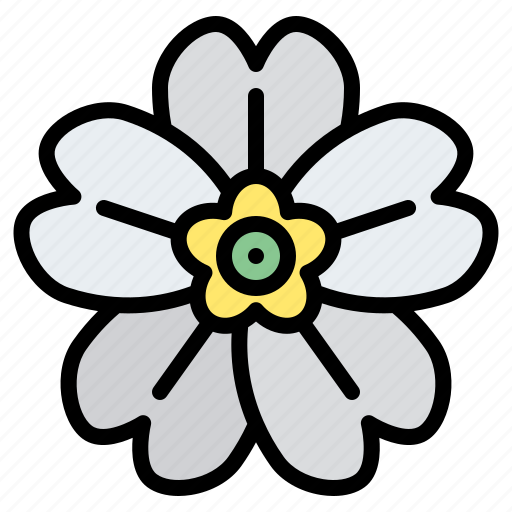 Primrose, flower, blossom, floral, nature icon - Download on Iconfinder