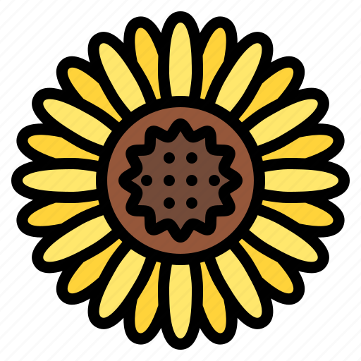 Sunflower, flower, blossom, floral, nature icon - Download on Iconfinder