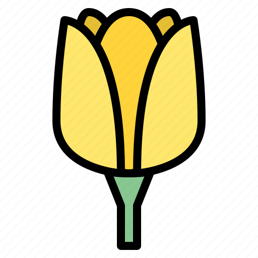 Tulip, flower, blossom, floral, nature icon - Download on Iconfinder